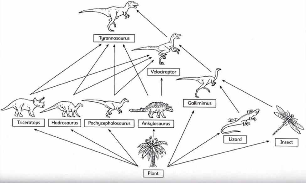 恐龙生活时期的食物链分布of the various hypotheses attempting to