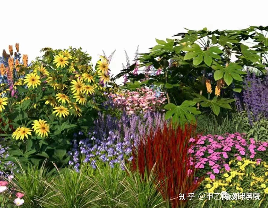 景观花镜植物组合su模型| 2.2gb