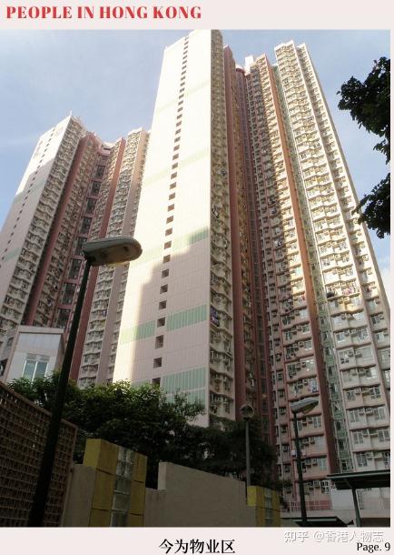 一直到现在,香港仍然在举办关于荔园的纪念活动