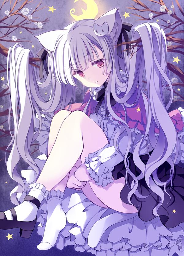 P站周榜|2019.12.22~2019.12.28 - 知乎