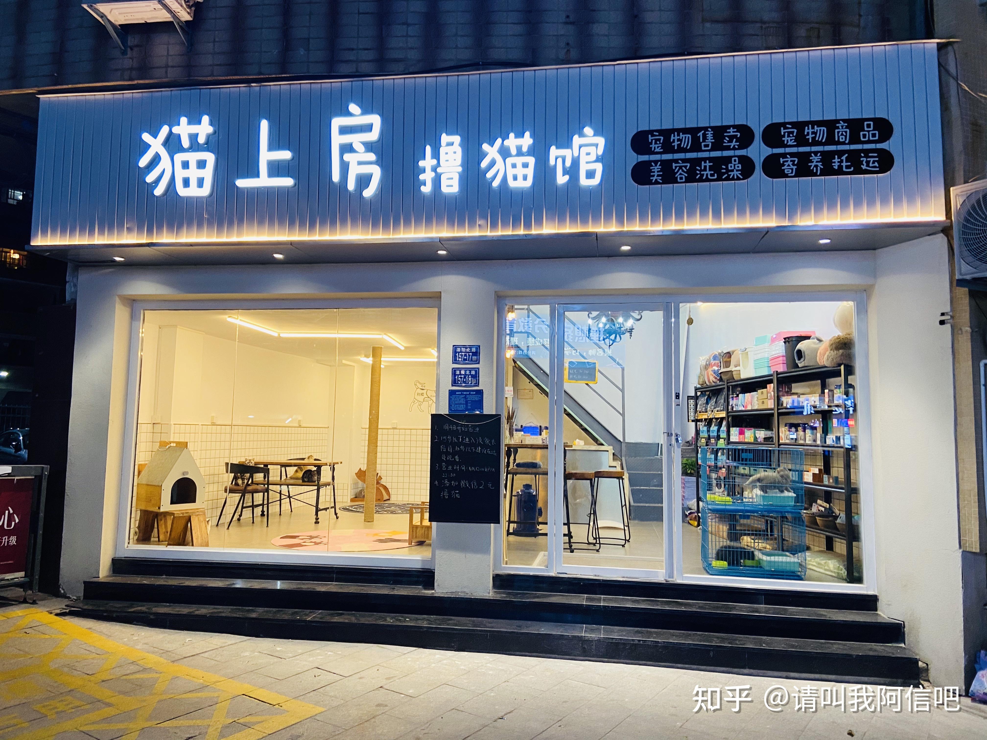 可以撸猫的宠物店