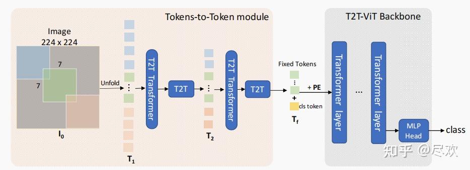 train vision transformer network for image... 《Tokens-to-Token ViT: Training Vision Transformers from Scratch on ...
