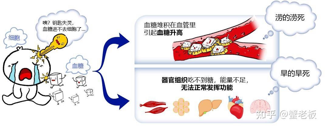 抵抗包络图图片