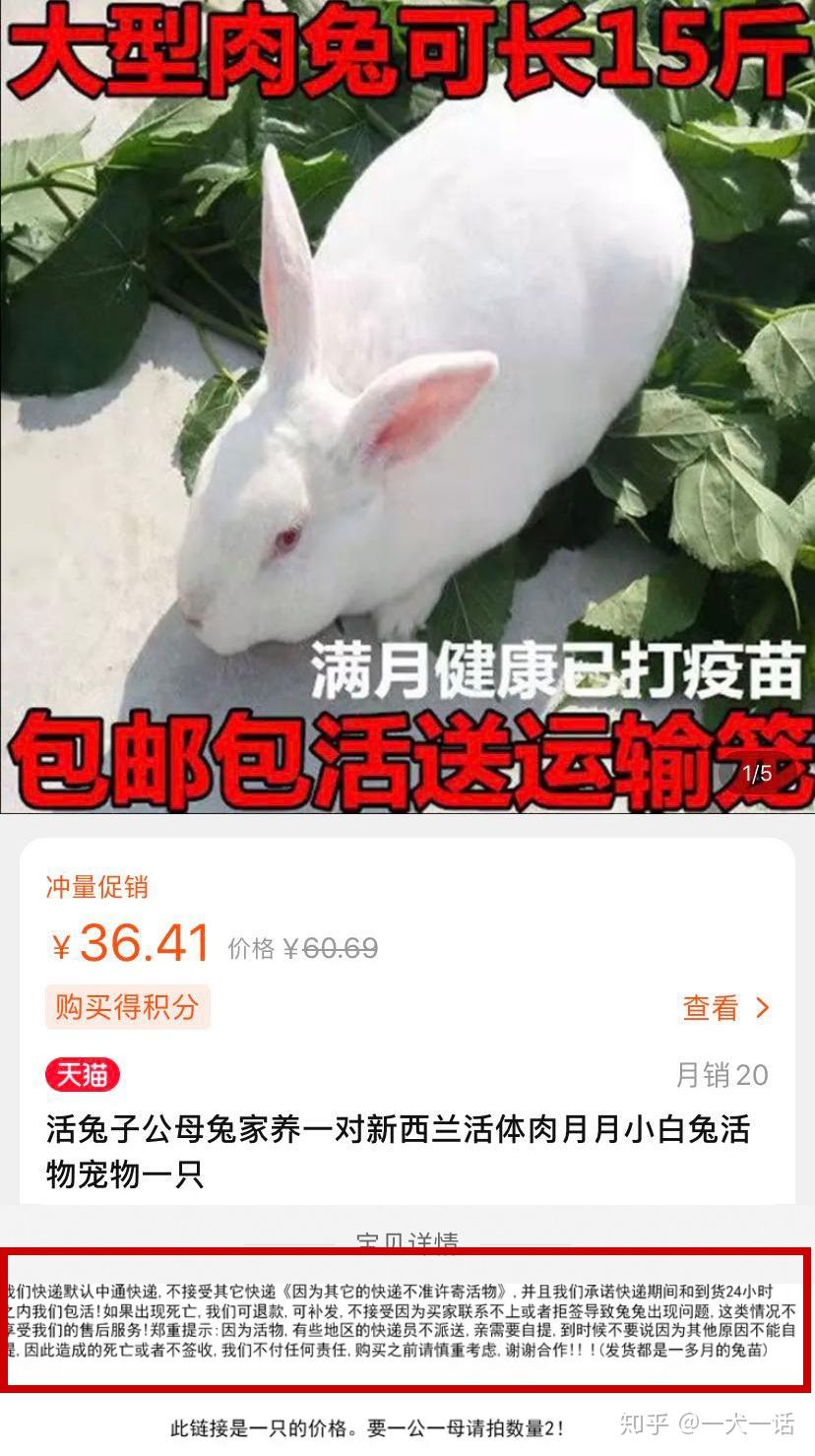 漯河宠物滞留死亡事件:我们和发达国家相比,还差一部动保法!