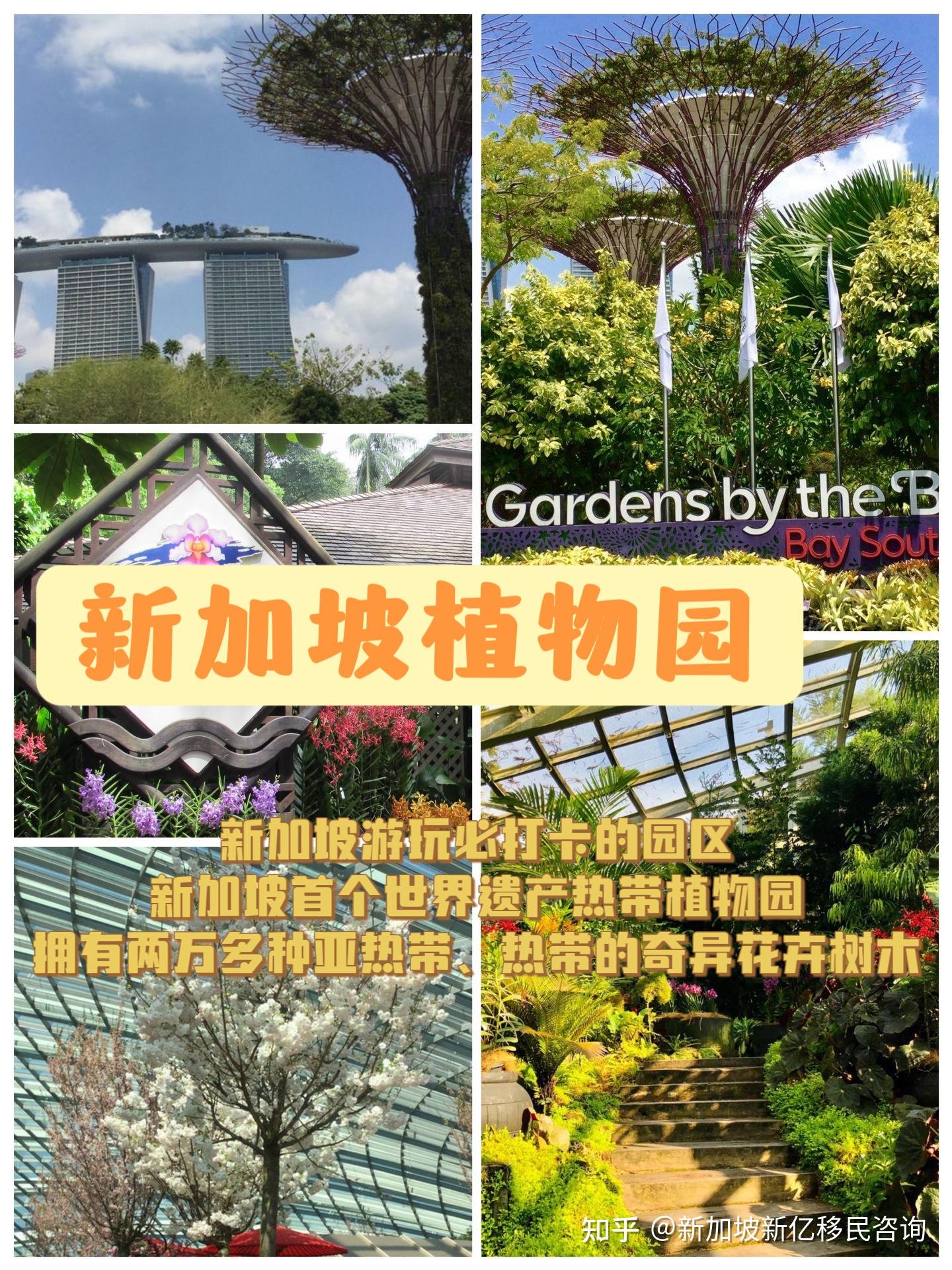 来新加坡🇸🇬必打卡的绝美公园🌳 - 知乎