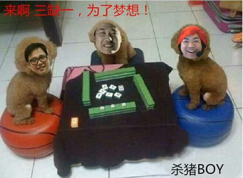 如何看待Scboy慈善赌王大赛?