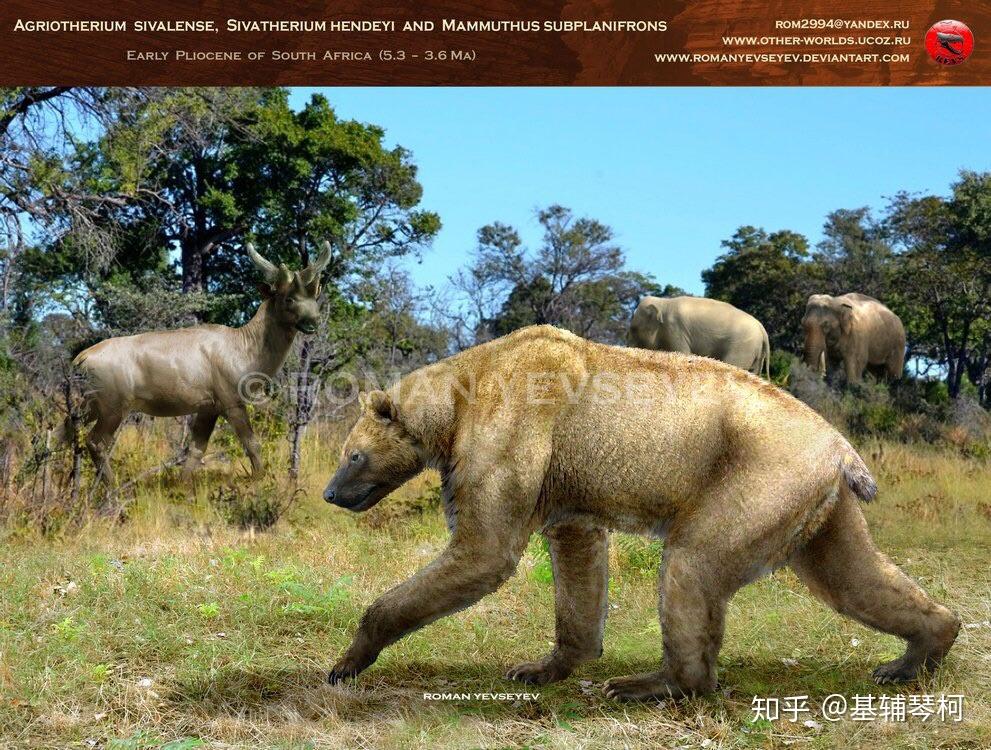 65公尺,780公斤族谱所属:食肉目-熊科-郊熊亚科化