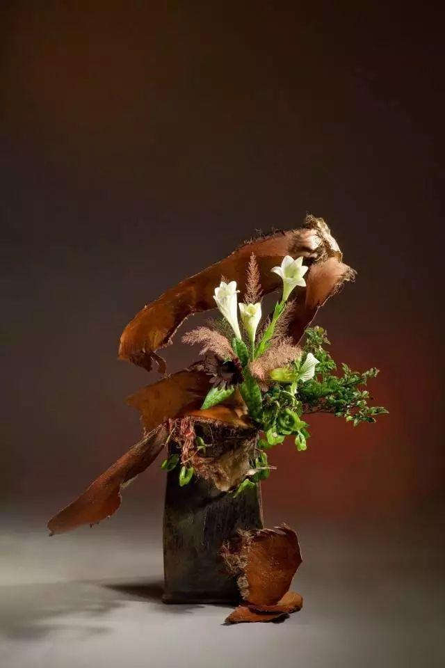 枯木花艺 | 最喜枯木又逢春 - 知乎