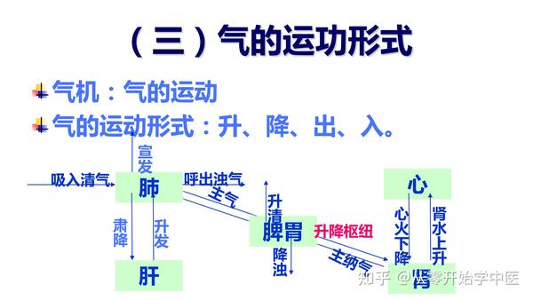 从零开始学中医:气血津液(气) - 知乎