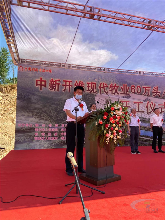 湖北世纪新峰雷山水泥厂区里办了养猪场