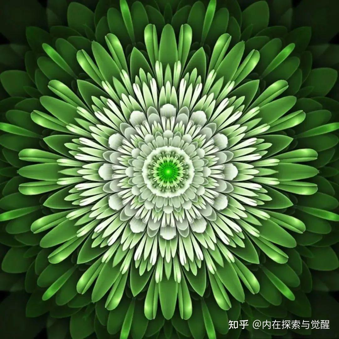 ④七脉轮生命解读生活身体心理之心轮
