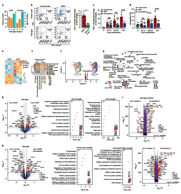 Nature Immunology Scrna Seq揭示胶质母细胞瘤进展过程中免疫景观演变 知乎