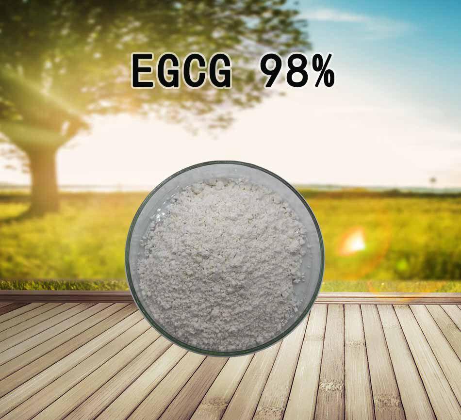 egcg是什么带你全面了解表没食子儿茶素没食子酸酯