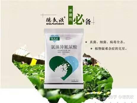 氯溴異氰尿酸混用注意事項