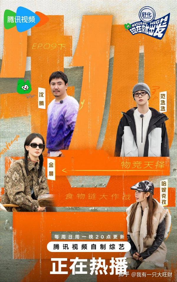 有哪些推荐的在中国旅游的综艺节目？