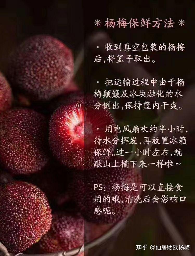 你不知道的仙居杨梅