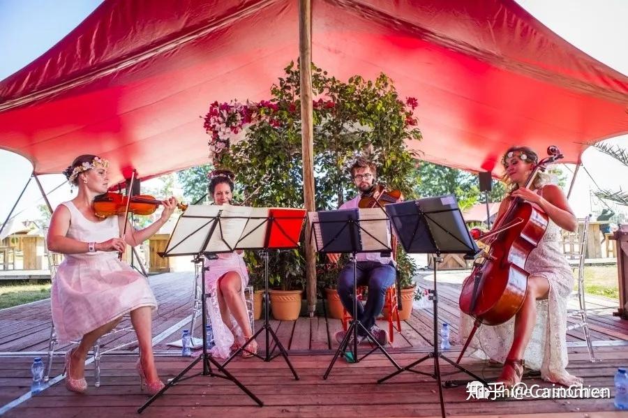 关于tomorrowland的dreamville你了解多少