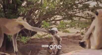 411_222gif 动态图 动图