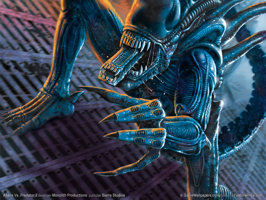 异形的死亡之吻作者暮晖熠熠