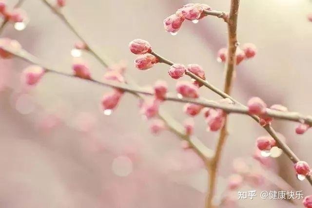 二十四节气——立春 - 知乎