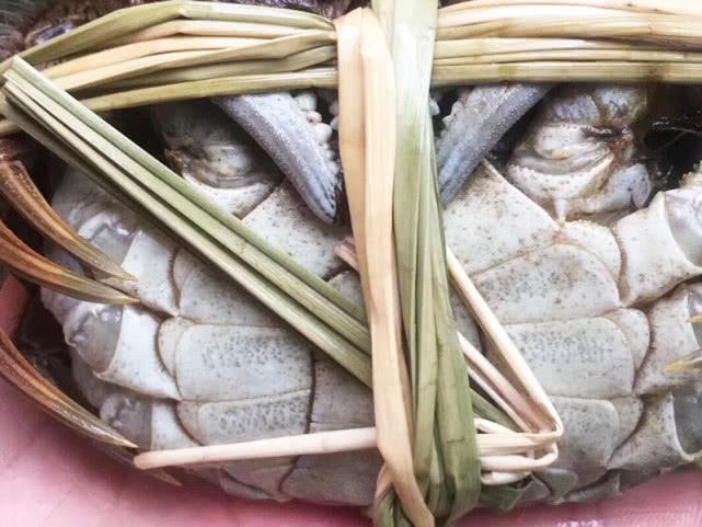 蟹束阁六月黄上市快来一起尝个鲜