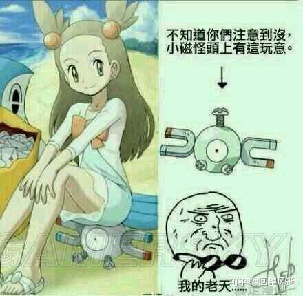 浅黄道馆是浅黄市的官方道馆,主要使用钢系宝可梦,馆主是阿蜜.