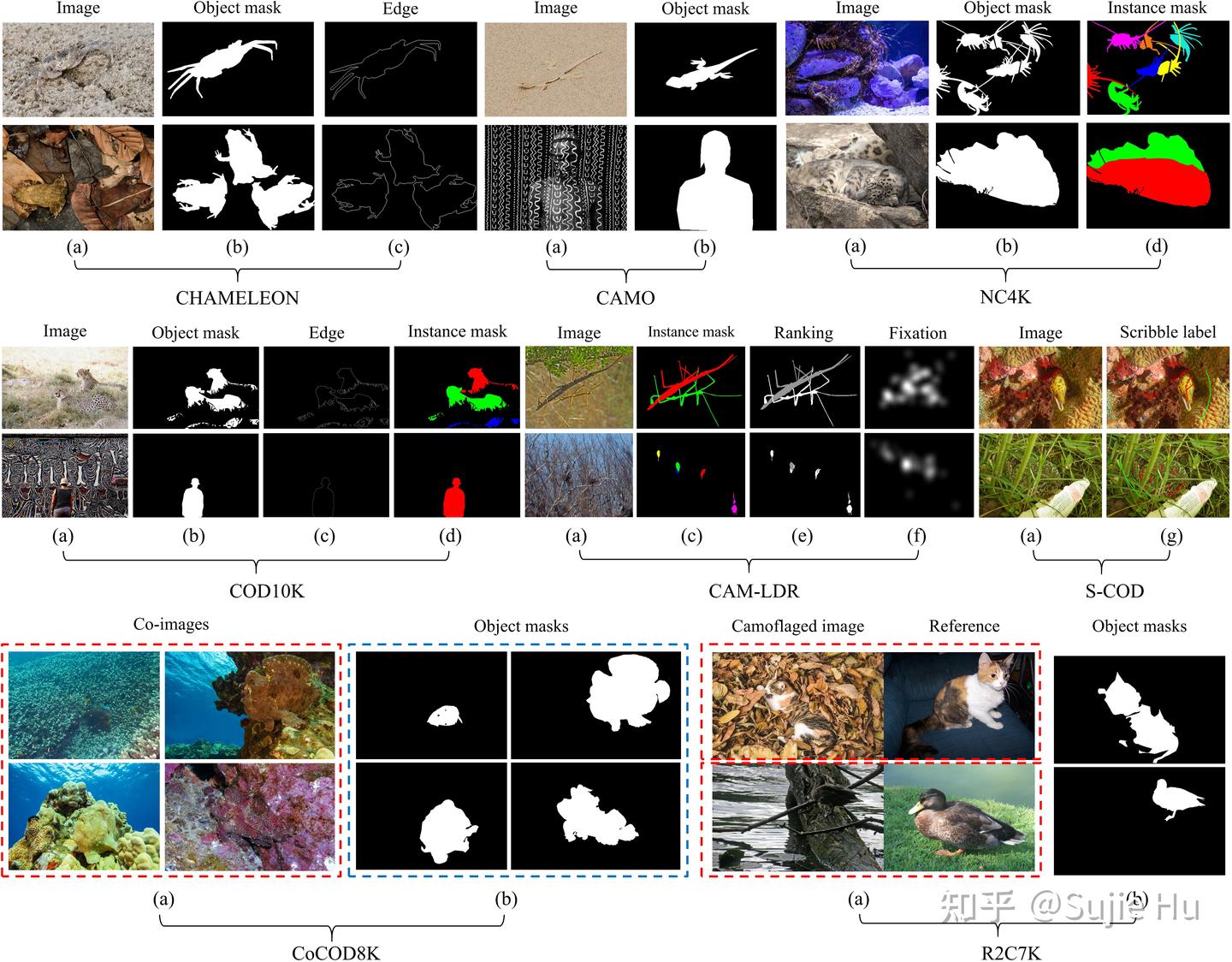 伪装目标检测及其拓展研究：综述 - 知乎