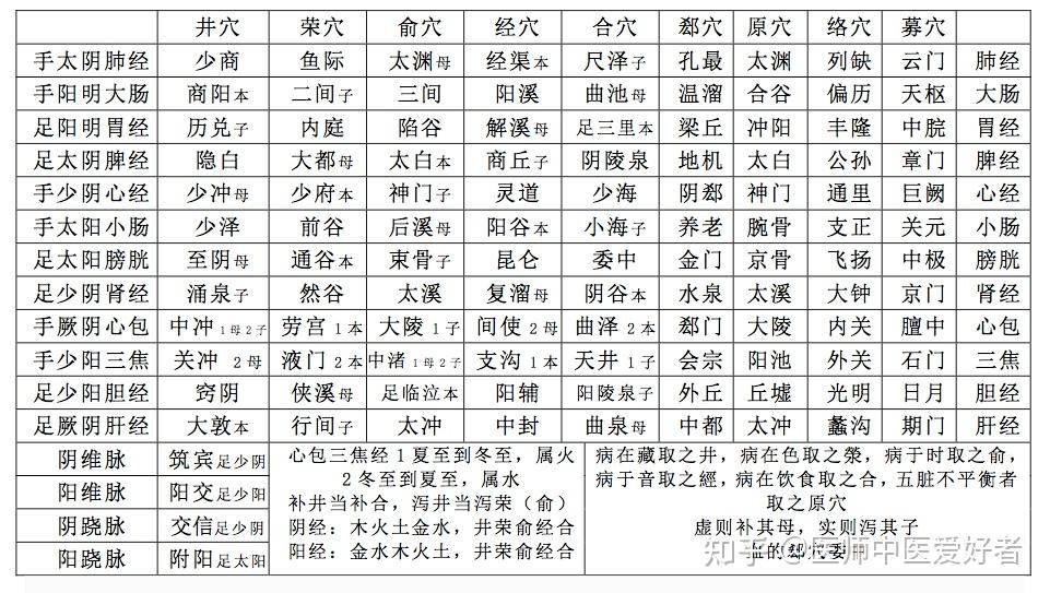 十二井放血顺序图片