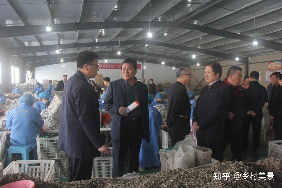 方城县独树镇：举办活动展现脱贫攻坚成果 知乎 
