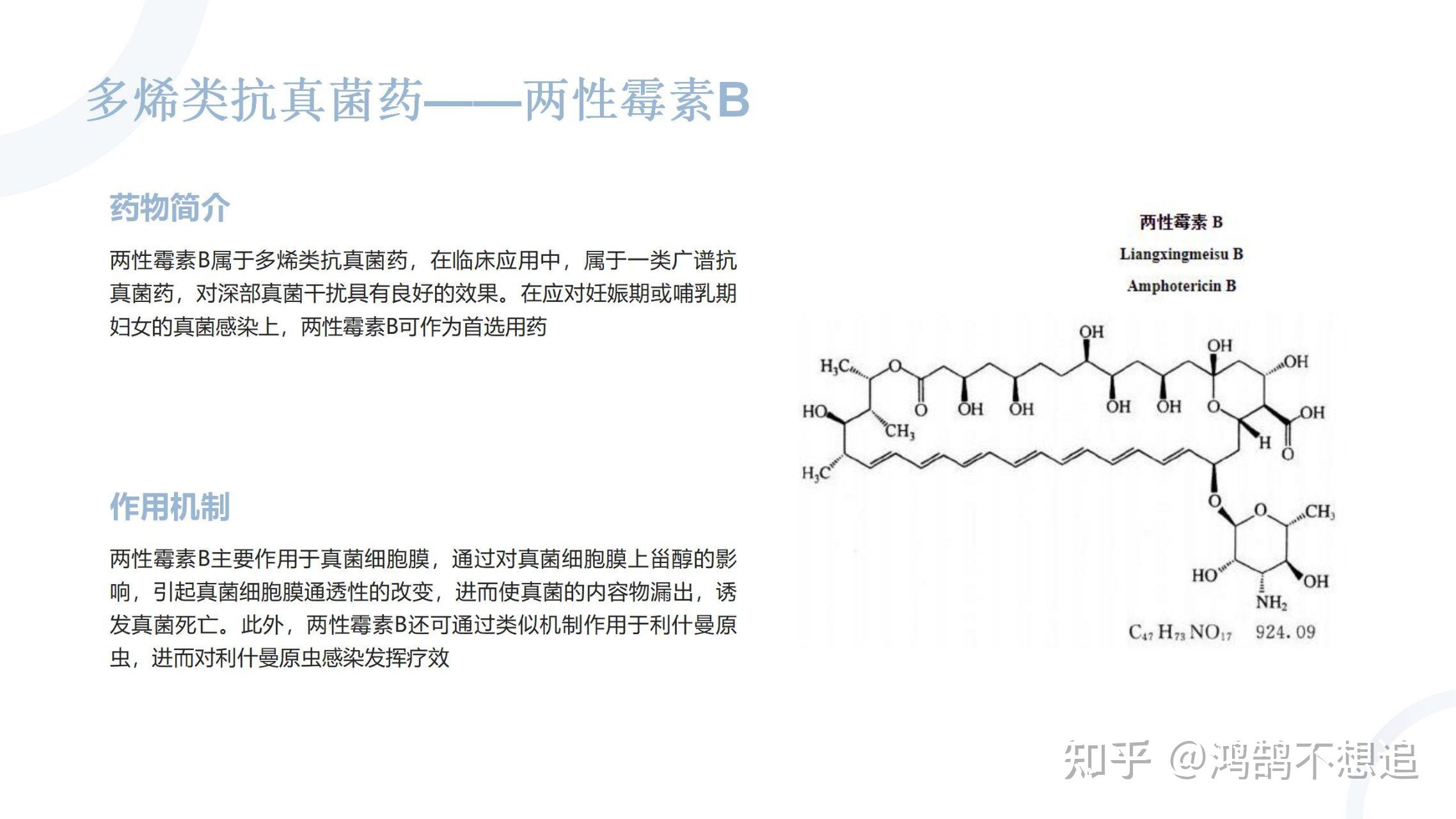 两性霉素B说明书图片