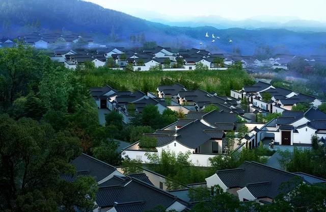 GN栖城设计 | 最美的中式设计—安吉绿城桃花源方竹园 | 管轶群 - 知乎