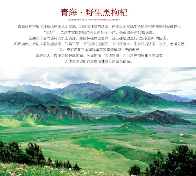 黑枸杞的功效和作用