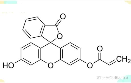 CAS:193419-86-2,荧光素-丙烯酸酯,Fluorescein o-acrylate 一种荧光单体 - 知乎