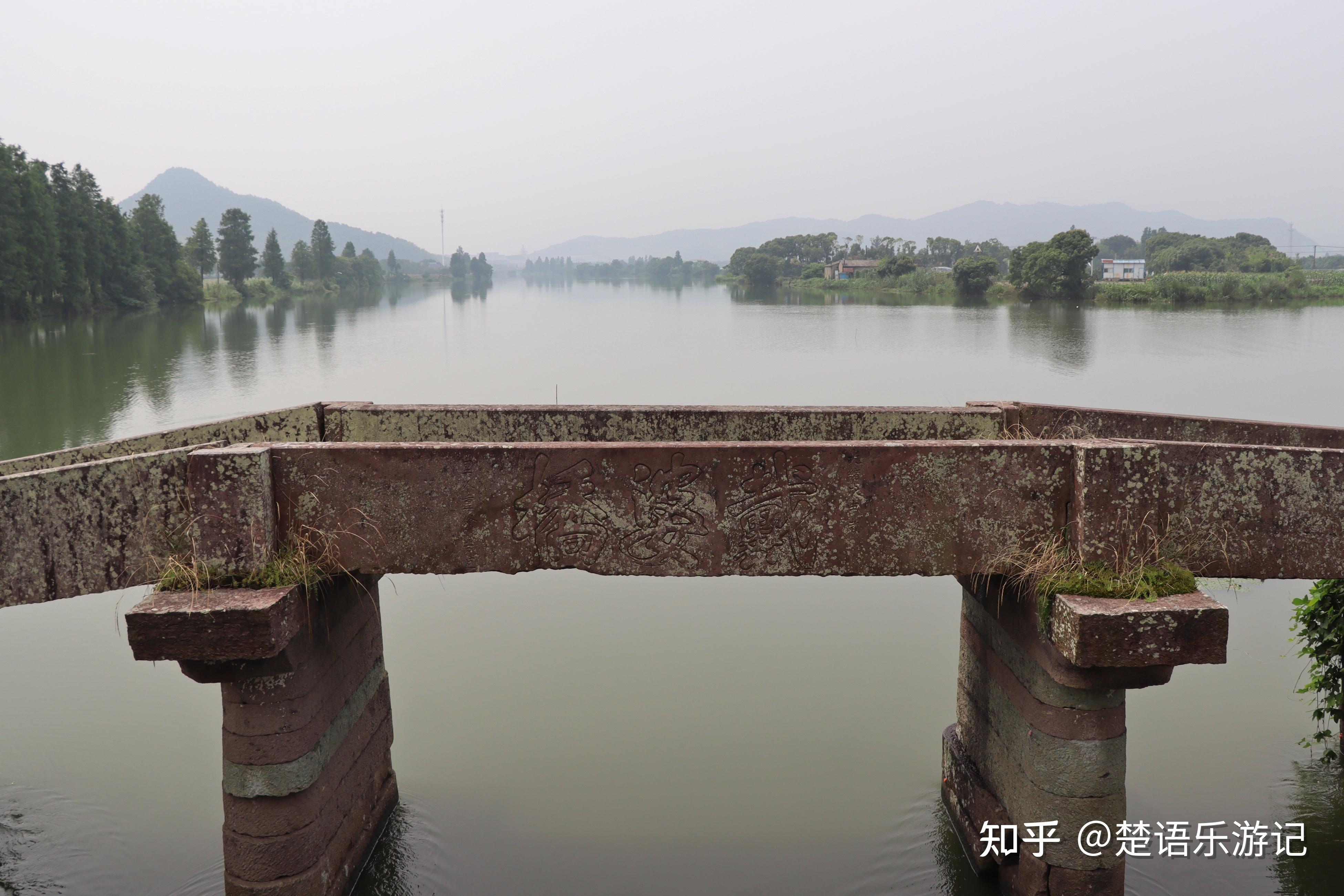 寧波東錢湖畔的格桑花海不僅風景秀麗還有美麗傳說值得一遊