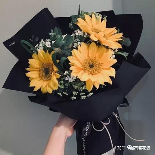 如果用一朵花形容老爸 你想到的是它吗 知乎