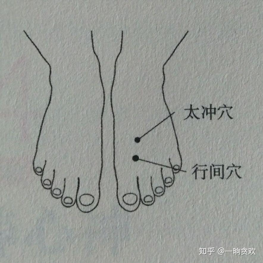 太冲穴,行间穴:养肝肝经:老寒腿内庭穴:去胃火太白穴:脾虚11 人赞同了
