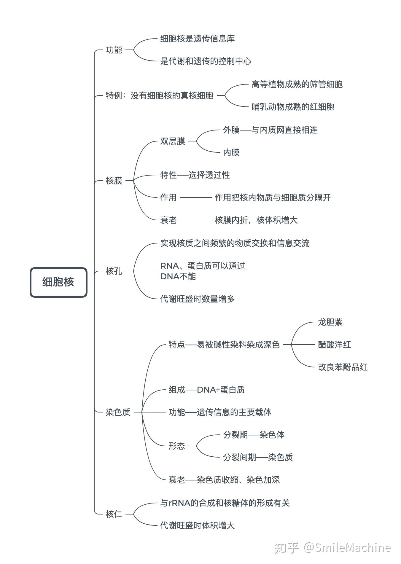 植物细胞思维导图大学图片