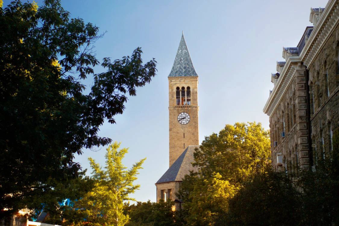 藤校录取大户康奈尔大学宣布减少今年早申录取名额,明年或将降低sat