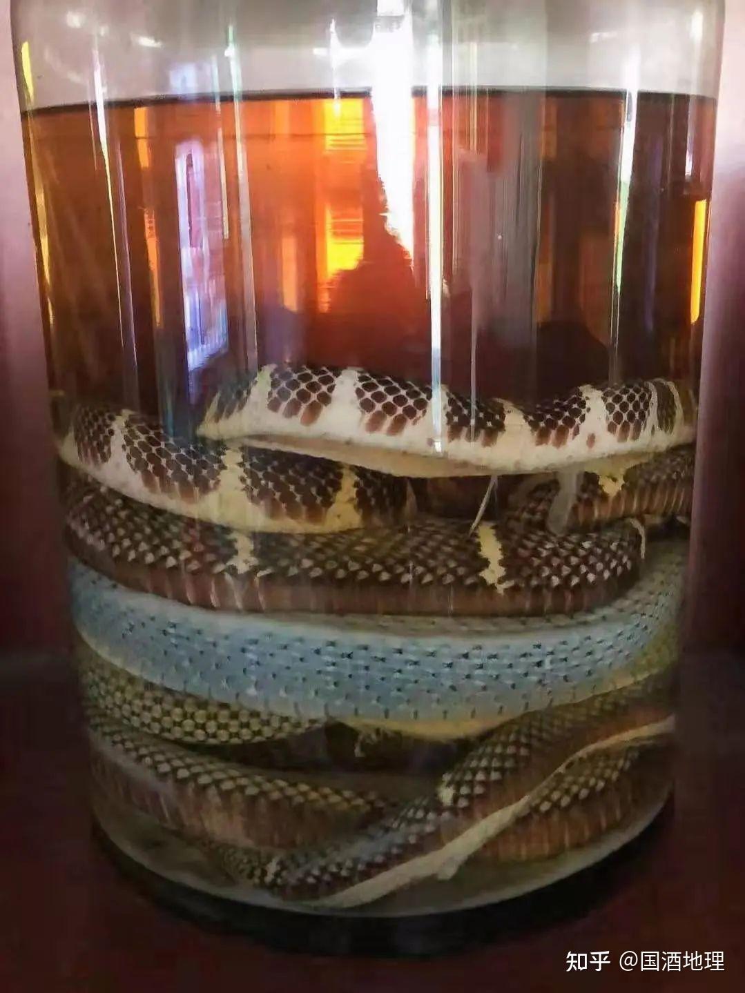 YANG LING 三蛇酒 PBJB 700ml YANG LING 三蛇酒 PBJB 700ml three . sake PBJB YANG LING