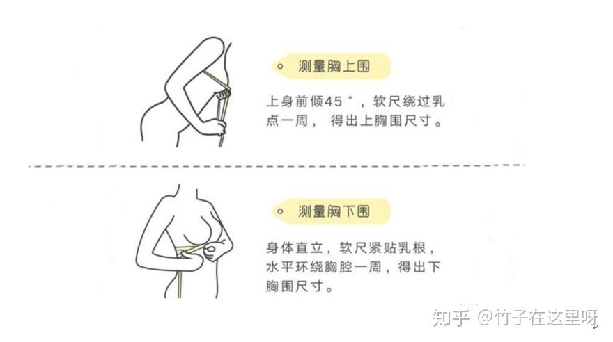 怎么网购内衣_内衣美女