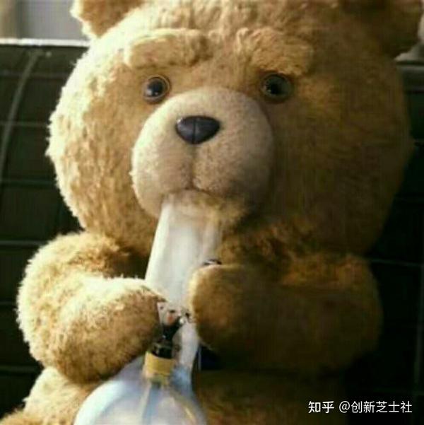 沙梨熊文章谁要 知乎