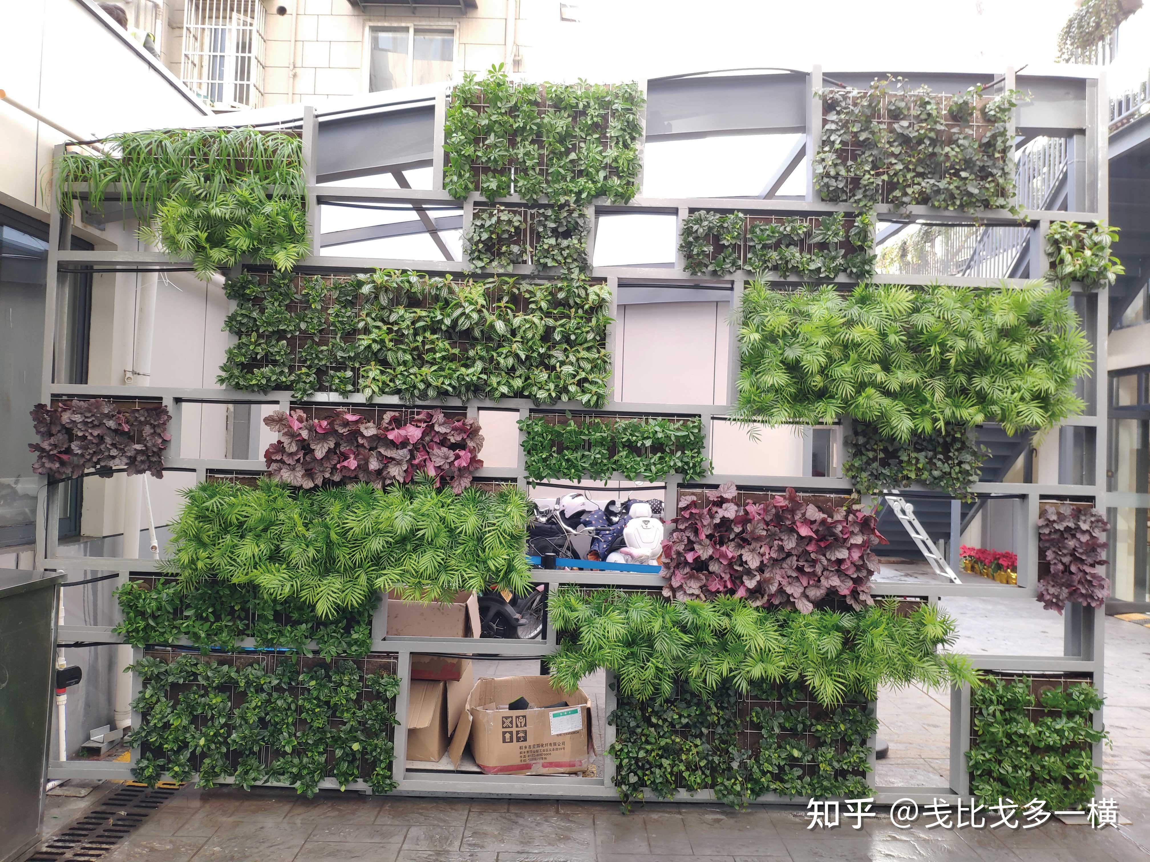 室外植物墙案例黑绵土上墙效果展示