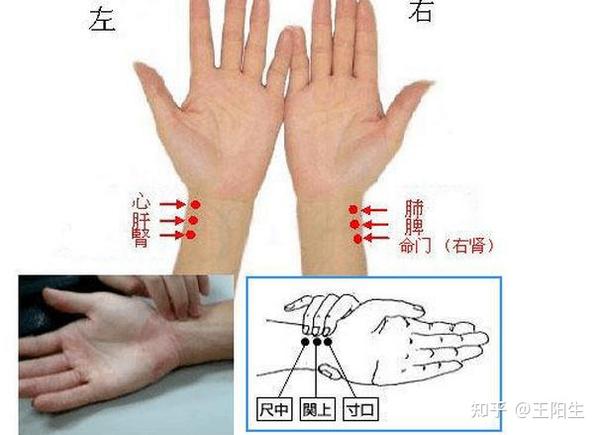 中医最实用的5种脉象，傻子也能把脉