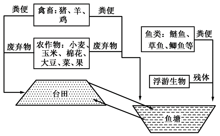 鱼塘台田模式图片图片