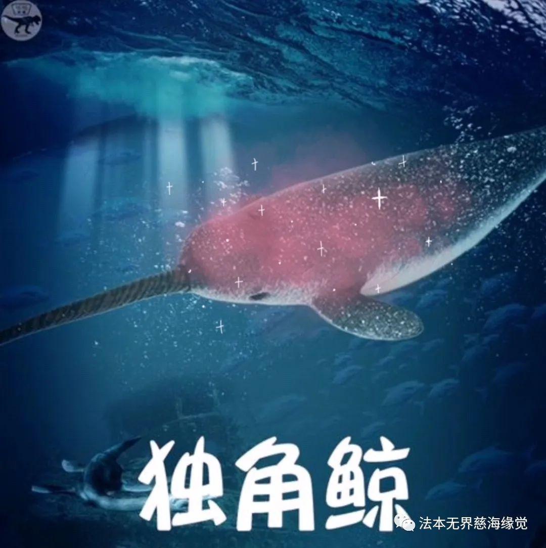 达摩祖师携弟子环游记二十之灵魂归位篇