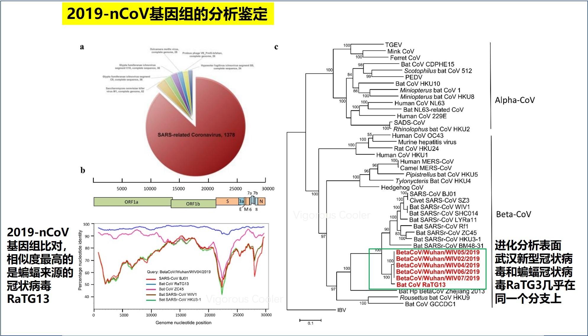 亚瑟王基因人口数量_黑化亚瑟王图片(3)