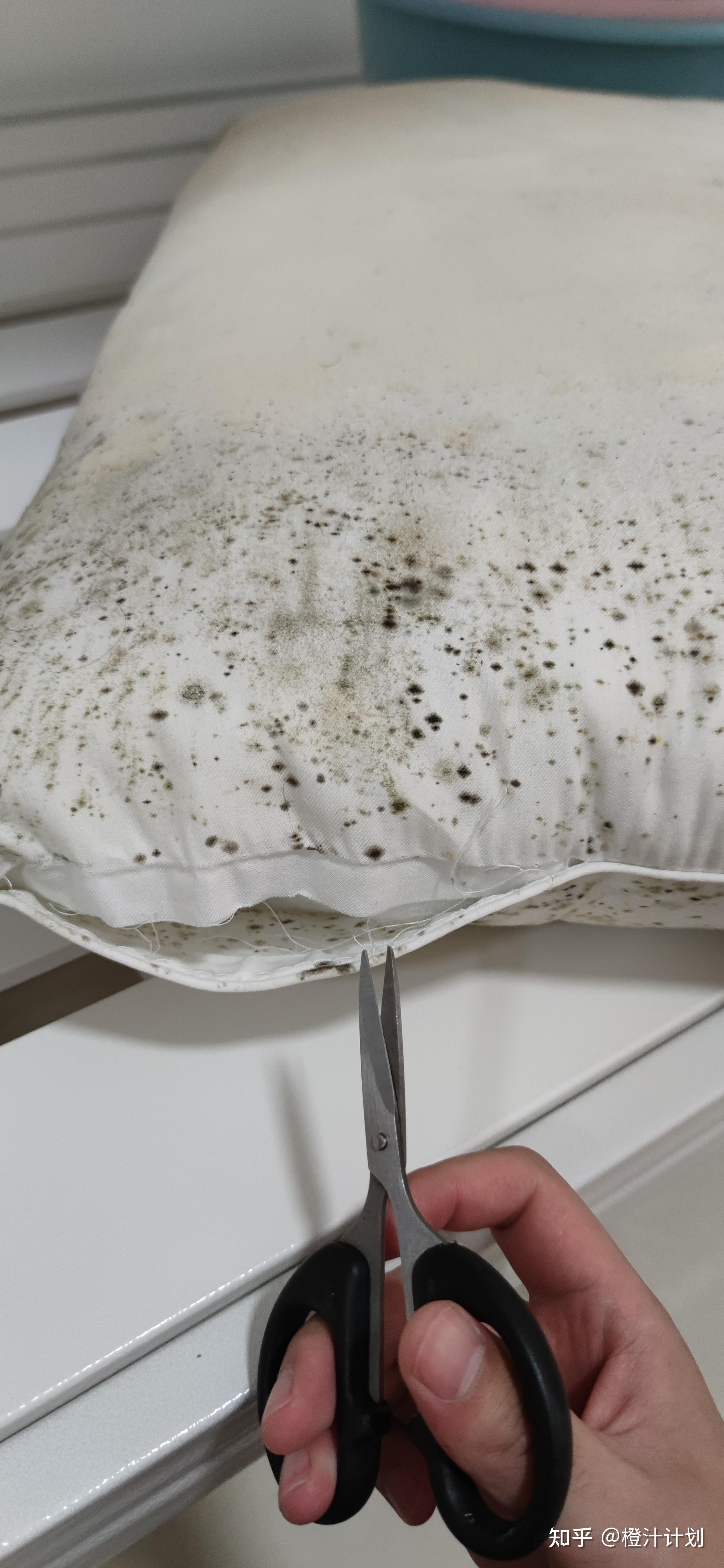 翻新一个发霉的枕头除霉斑棉花祛味