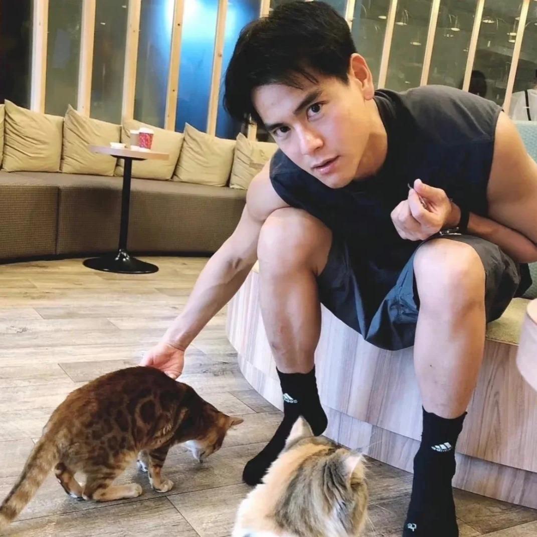 猫不易