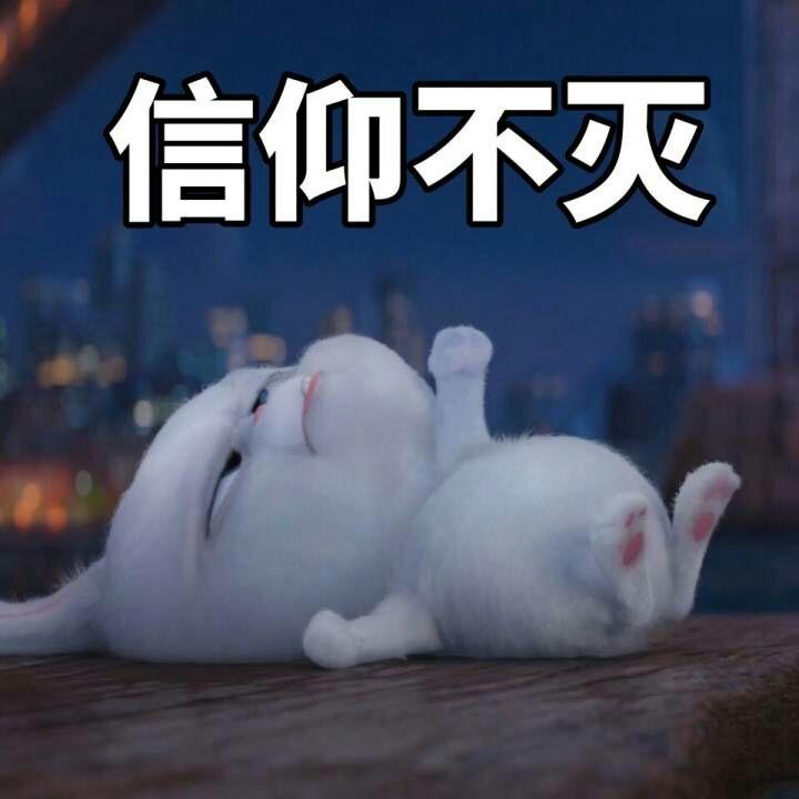 再次复读还是专升本?