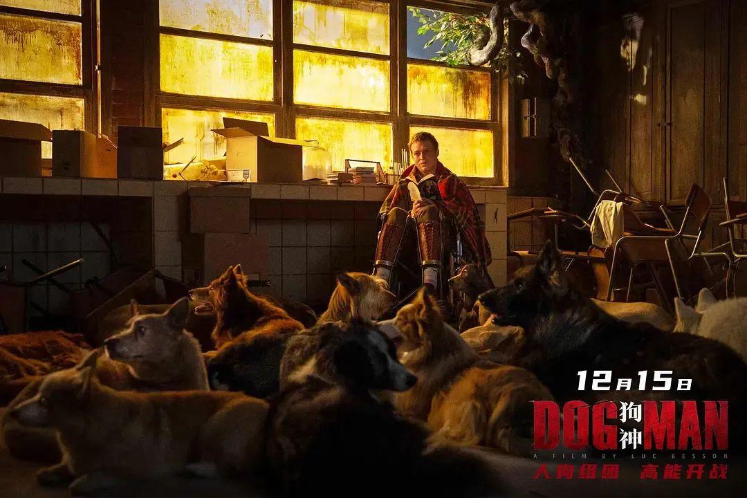 孤独的狗和孤独的人可以互相取暖吗图源:电影《狗神》在这里要说一下